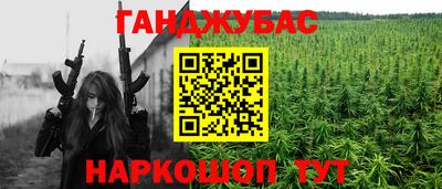 индика Будённовск
