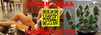индика Будённовск