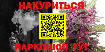 индика Будённовск