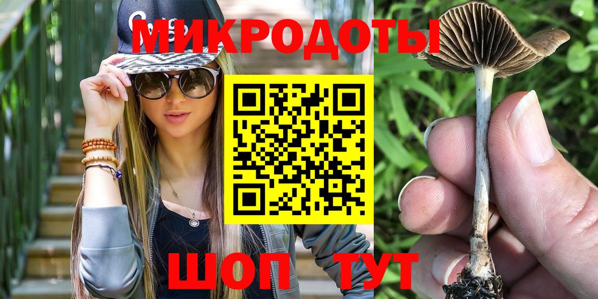 Набережные Челны  Псилоцибиновые грибы мухоморы  Вход с VPN 