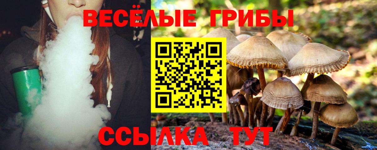 Псилоцибиновые грибы GOLDEN TEACHER Набережные Челны